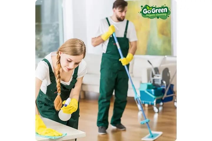 Professional cleaners carrying out a detailed home cleaning