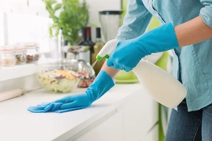 Go Green Organic Clean team member preparing a detailed home cleaning